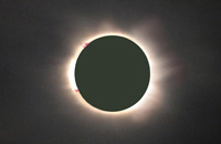 corona