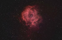 rosetta